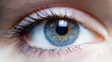Dia Mundial da Viso: catarata e glaucoma so as principais causas de cegueira evitvel